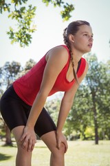 Fit woman taking a break in the park