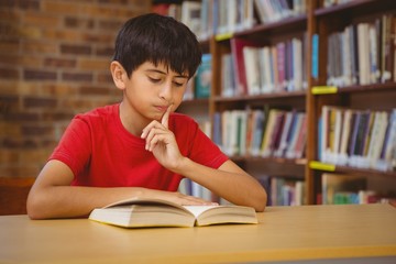 Cute boy reading book in library