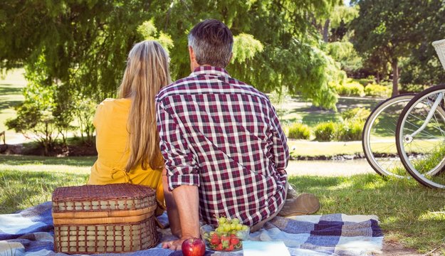 Couple having picnic in the park