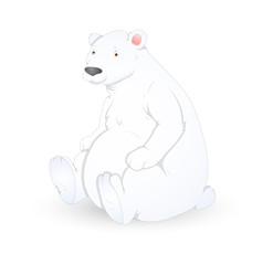Polar Bear Character