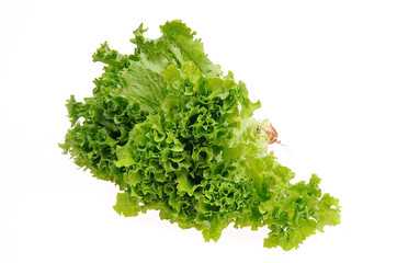 Fototapeta premium Lettuce