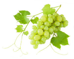 Grapes brunch closeup isolated on white
