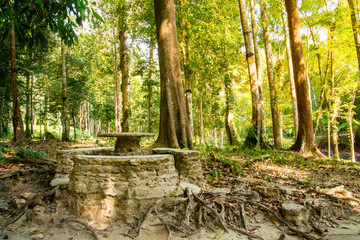 rock table and chairs in a wild.