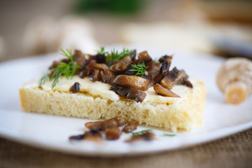 sandwich with mushrooms