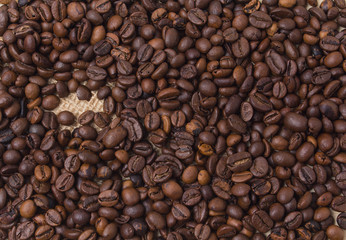 Fototapeta premium Zbliżenie tła ziaren kawy