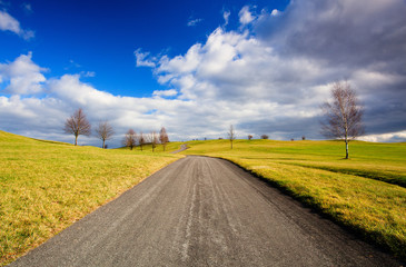 Empty road in the spring landscape
