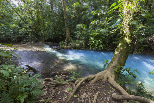 Rio Celeste im Regenwald von Costa Rica