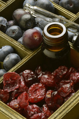 Vaccinium Heidelbeeren Mirtillo Blueberry Puolukat