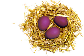purple eggs in a easter nest of straw isolated on white backgrou