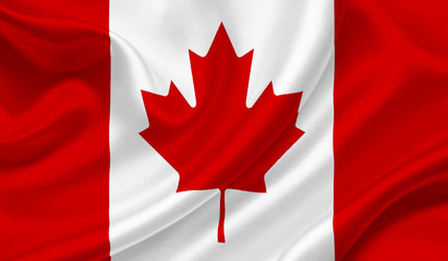 Canada waving flag - 78906065