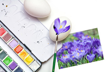 painting eggs for Easter with spring flowers, white background