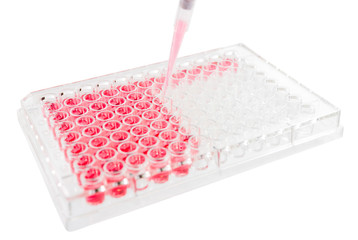 96 wells plate test