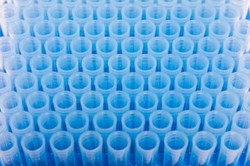 laboratory blue tips 1 ml