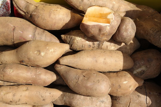 Smallanthus sonchifolius or yacon root.