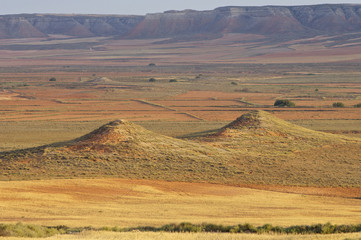 Fototapeta na wymiar Arid landscape
