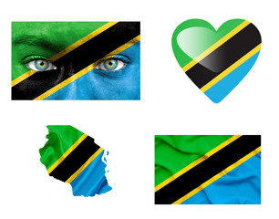 Set of various Tanzania flags - 78912006