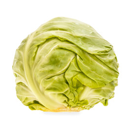 Cabbage isolated on white