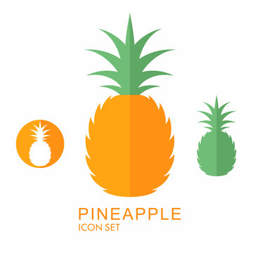 Pineapple. Icon set