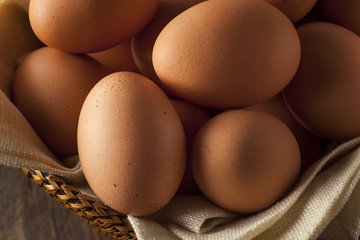 Raw Organic Brown Eggs