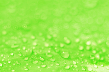 green blurred background texture bokeh drops