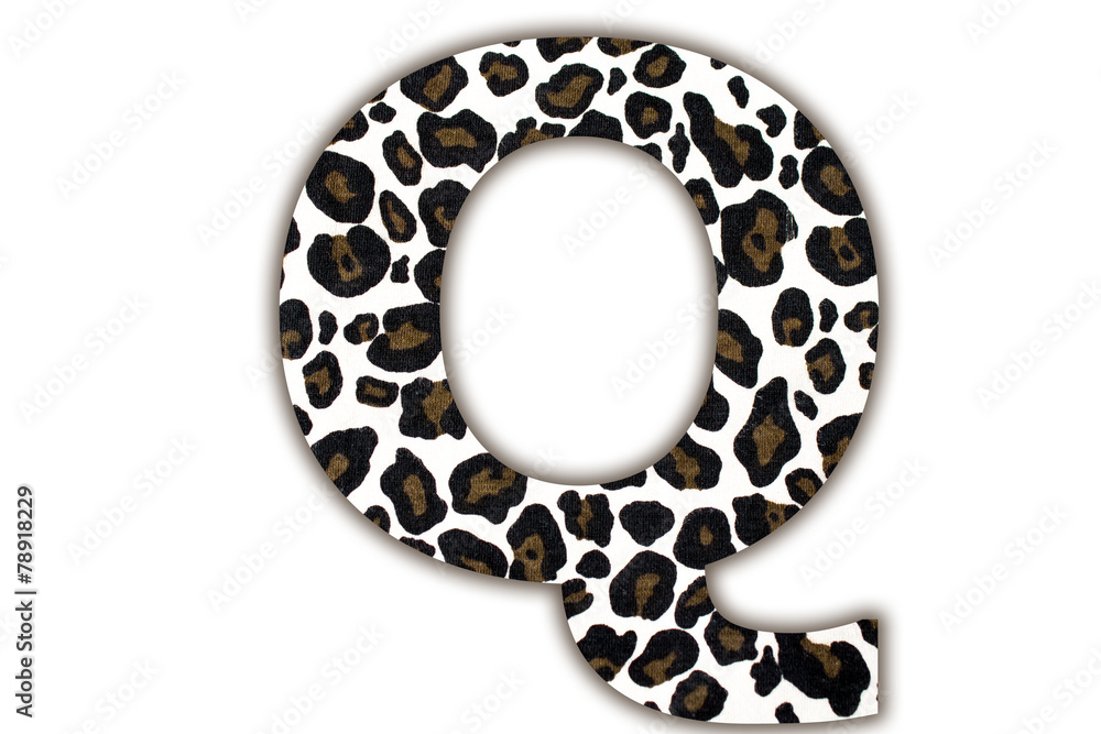 Poster font with pattern leopard