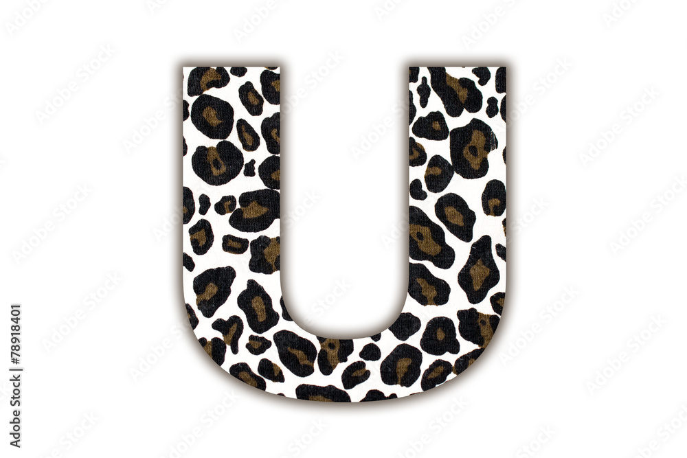 Fototapete font with pattern leopard