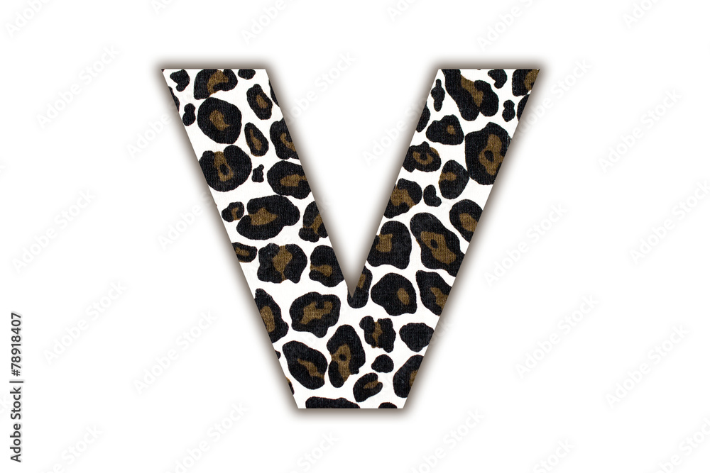 Poster font with pattern leopard