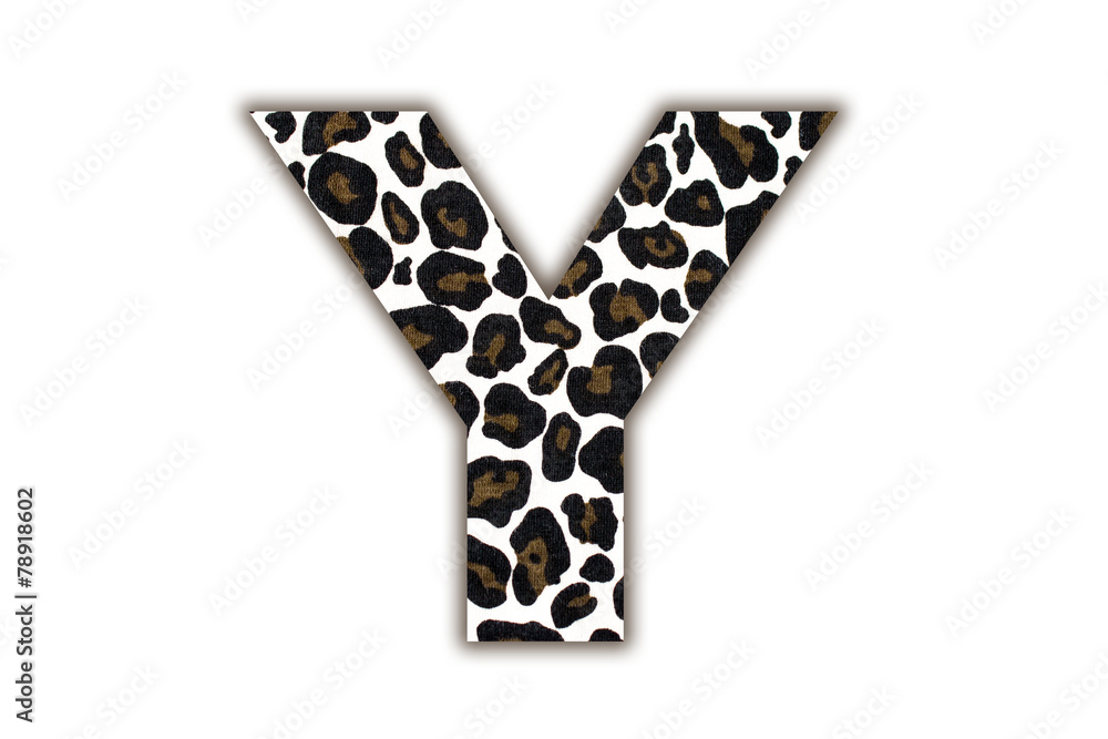 Poster font with pattern leopard