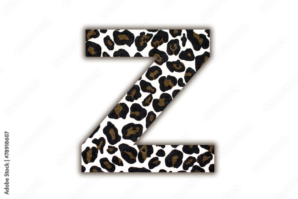 Poster font with pattern leopard