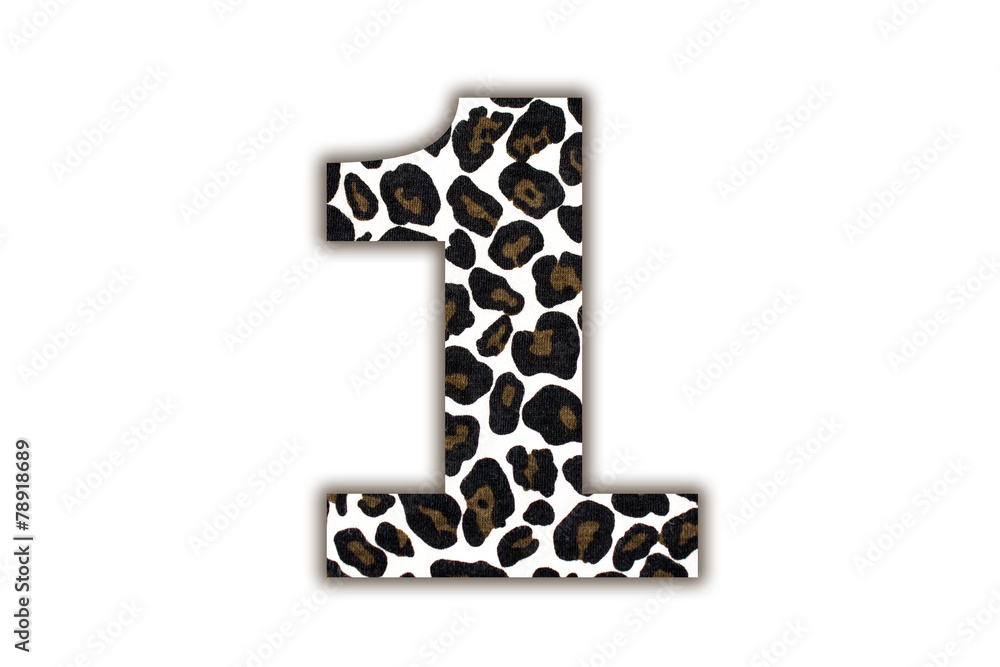 Poster font with pattern leopard