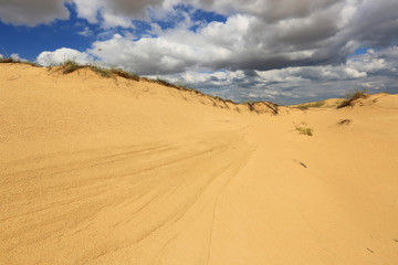 Fototapeta na wymiar Sandy desert