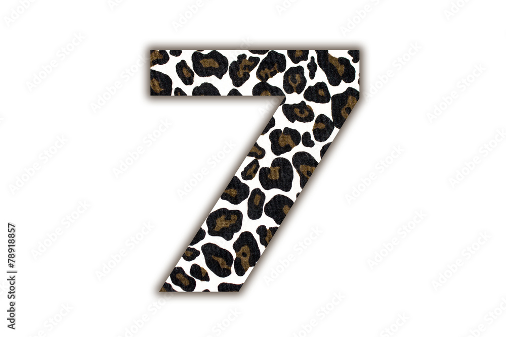 Poster font with pattern leopard