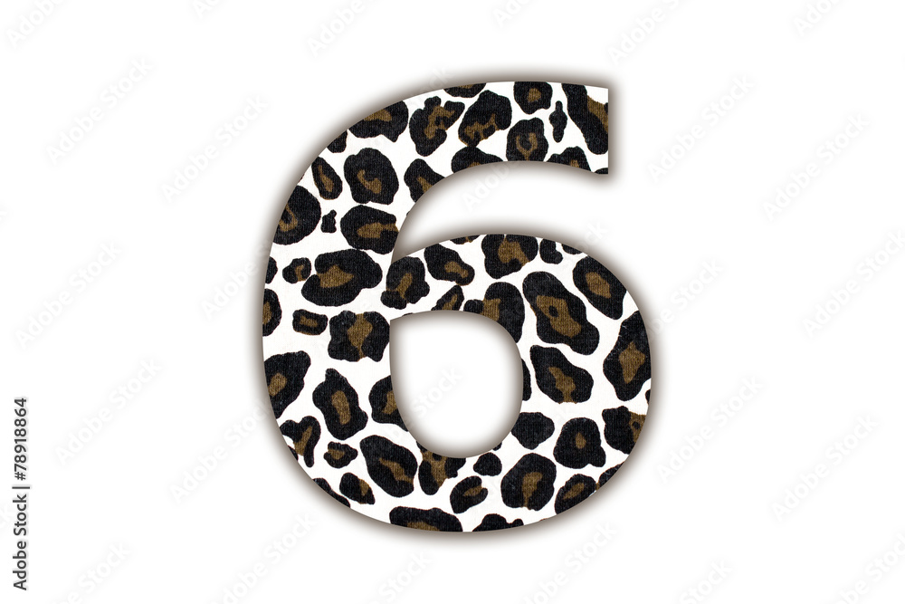 Poster font with pattern leopard
