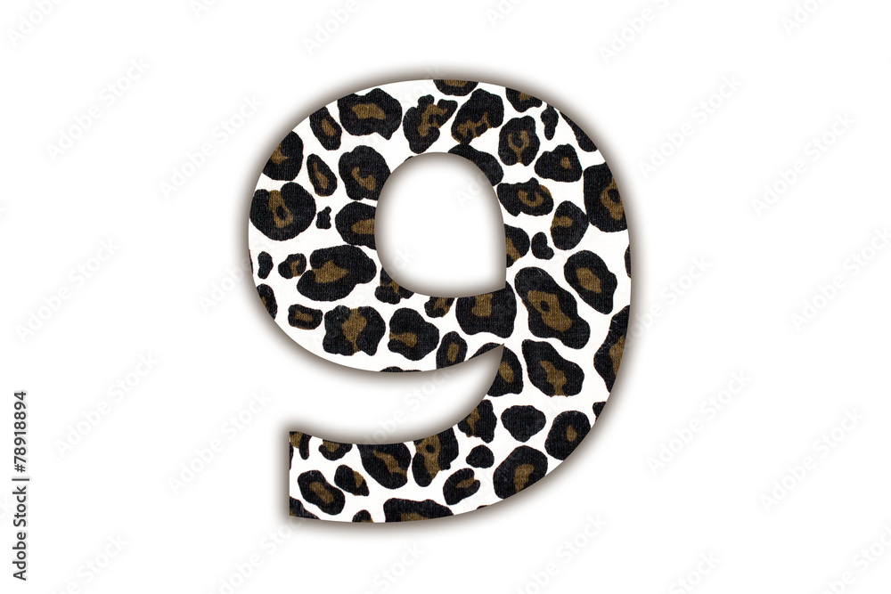 Poster font with pattern leopard