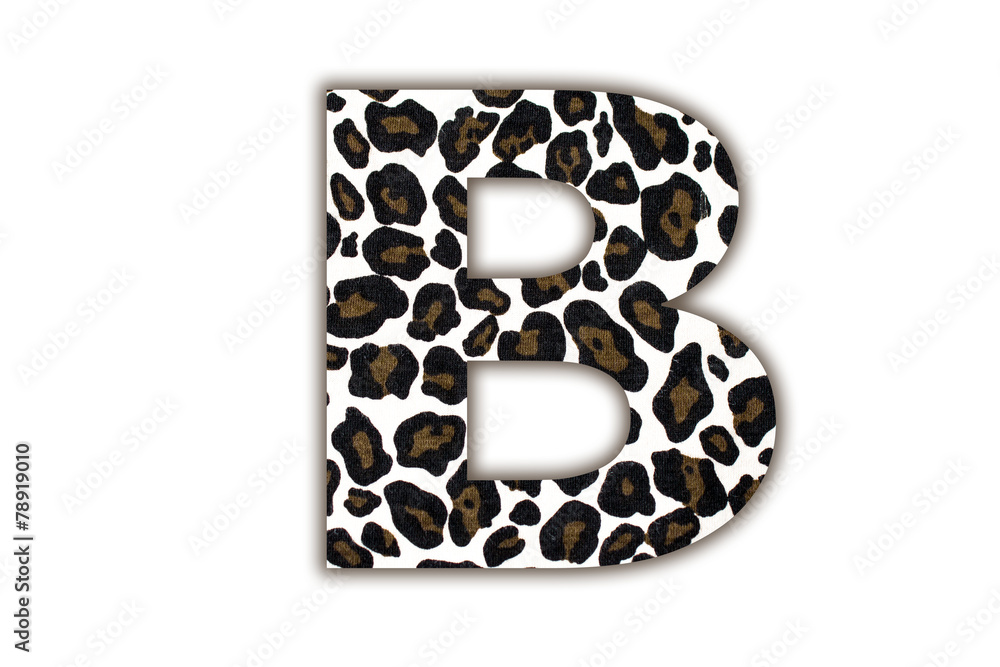 Poster font with pattern leopard