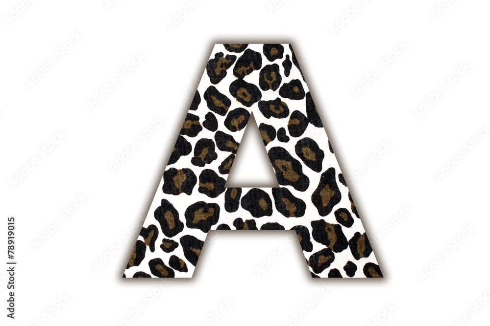 Poster font with pattern leopard
