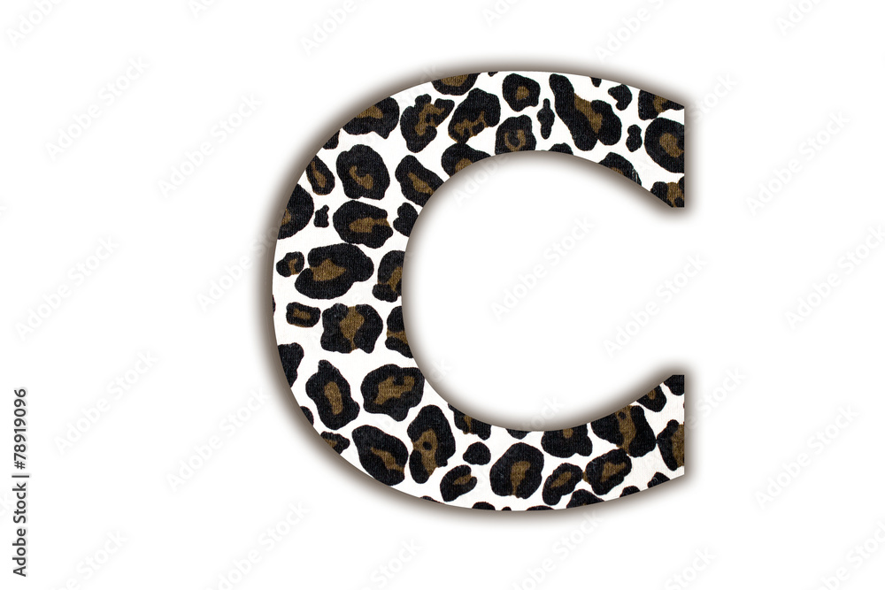 Poster font with pattern leopard