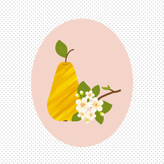 Pear Fruit And Flower Blossom Spring Healthy Garden Vector