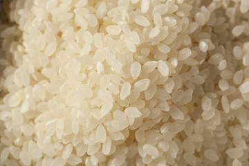 Raw White Sushi Rice