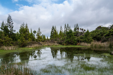 Terceira
