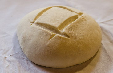 Bread dough