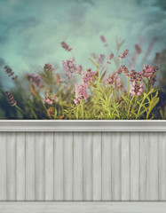 Spring wall background/backdrop
