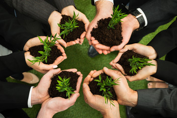Businesspeople Hands With Plant And Soil - obrazy, fototapety, plakaty