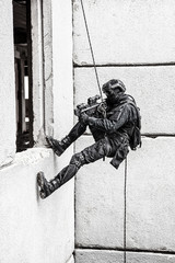 tactical rappeling
