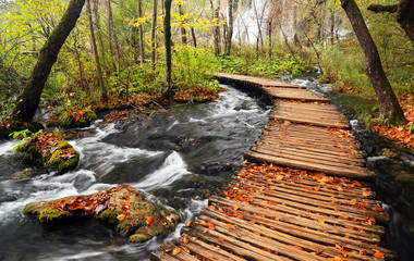 Obraz premium Alley in Plitvice National Park - Autumn colors