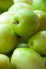 fresh green jujube