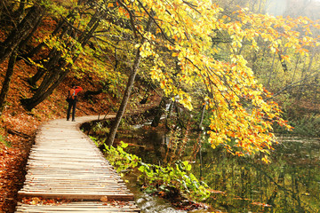 Autumn colors in Plitvice National Park, Croatia, Europe