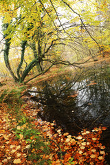 Plitvice National Park, Croatia, Europe - Autumn colors