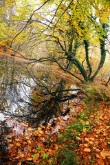 Plitvice National Park, Croatia, Europe - Autumn colors