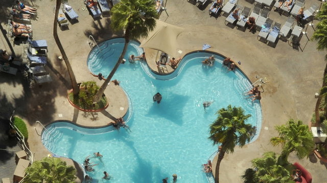 Pool People from Above